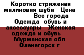 Коротко стриженая малиновая шуба › Цена ­ 10 000 - Все города Одежда, обувь и аксессуары » Женская одежда и обувь   . Мурманская обл.,Оленегорск г.